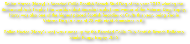 Sallen Harrar (Harry) is Bearded Collie Scottish Branch Stud Dog of the year 2012 winning the Balmacneil Jock Trophy (the worlds oldest Beardie trophy) and winner of the Veteran Dog Trophy;
Harry was also one of the highest placed Scottish Beardies at Crufts this year, being 2nd in Veteran Dog (a class of 23 with eight champions in it).

Sallen Hector (Harry’s son) was runner up for the Bearded Collie Club Scottish Branch Balformo Shield Puppy trophy 2012